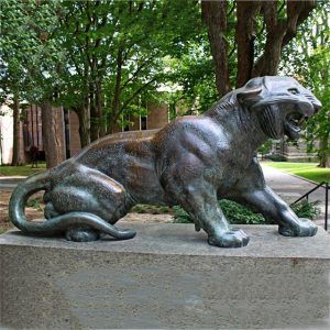 Tiger Rasenornamente