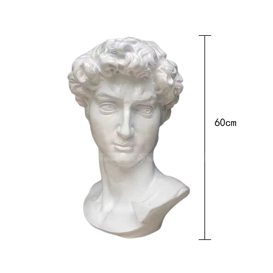 The bust of David The bust of David