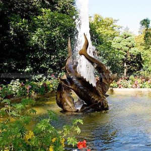 fonte de água com peixes