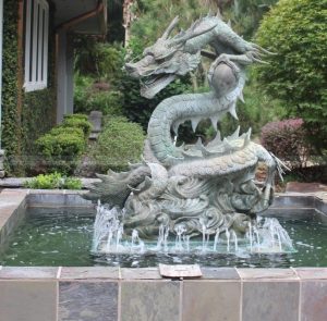 caratteristica d'acqua drago