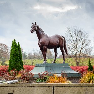 estátua de cavalo de bronze