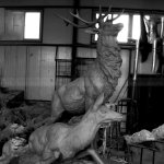 Stehender Hirschstatue