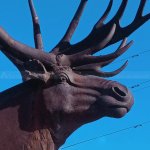 Bronz-Elk-Statue lebensgroß