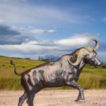 Metal Buffalo Statue - Image 2