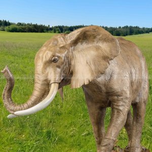 Estátua de Elefante Realista