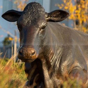 Estátua de Vaca em Bronze