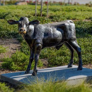 Estátua de Bezerro em Tamanho Real