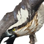 Scultura di Falco Pescatore in volo