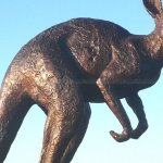 Große Känguru Statue