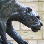 Großer Leopard-Dekor