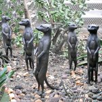 Erdmännchen-Skulptur