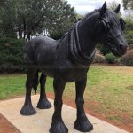 Enfeite de Cavalo Shire​