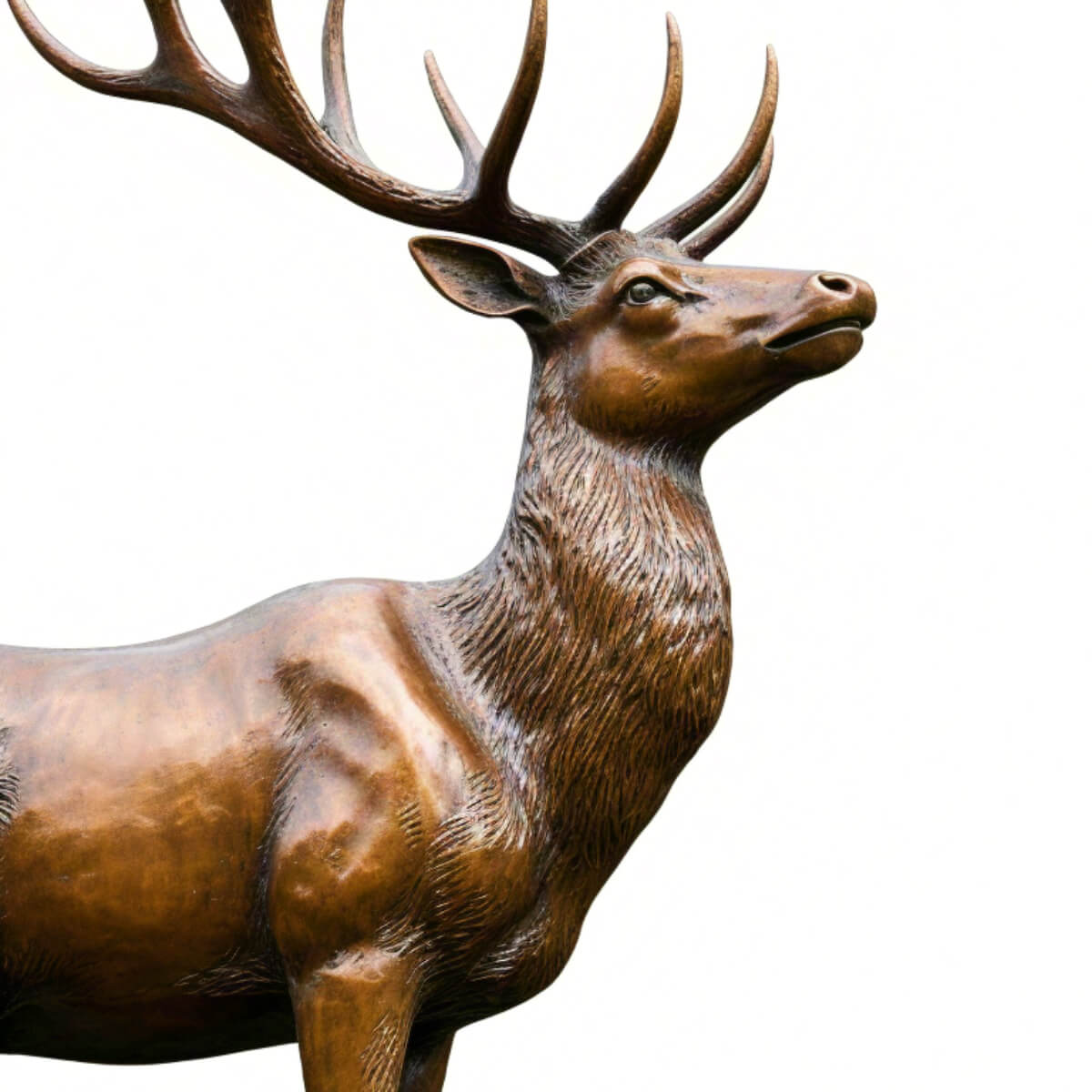 Bronze Hirsch Statue Outdoor