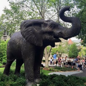 Jumbo-Elefantenskulptur