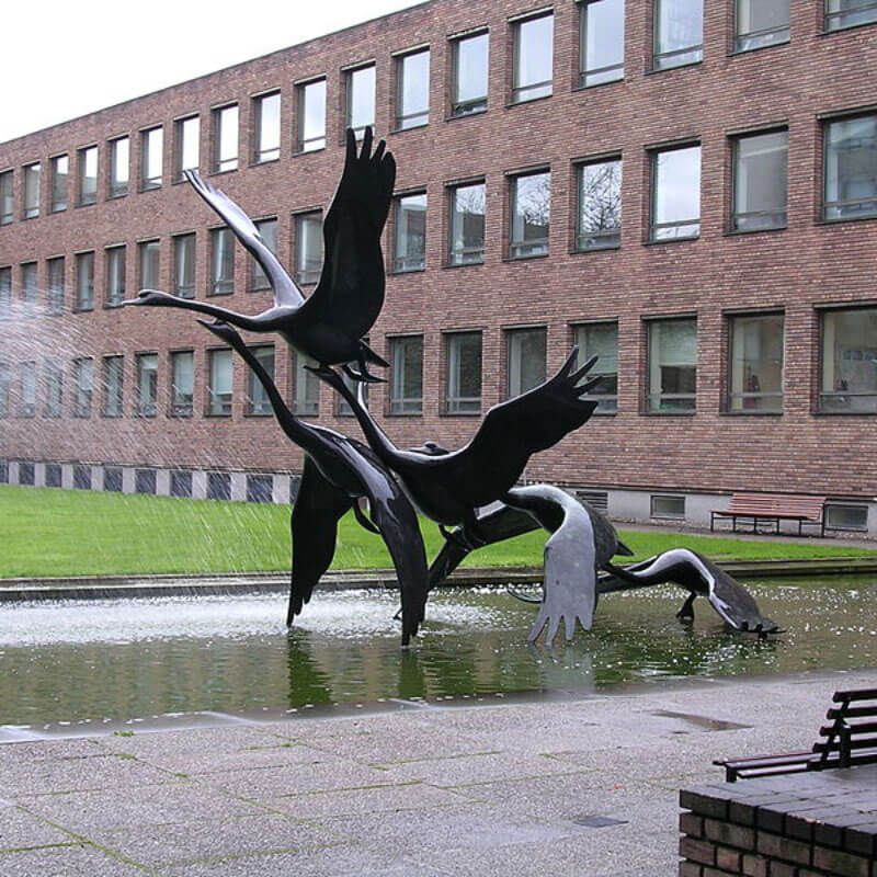 Cisne Voando