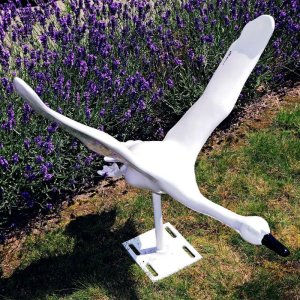 Statue de cygne blanc