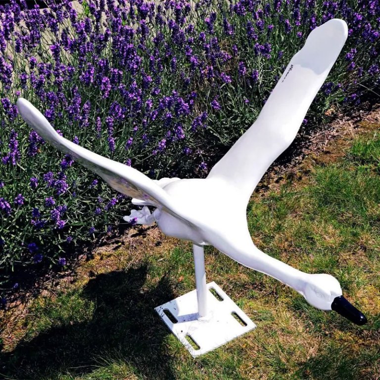 Statua Cigno Bianco