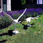 Statua del Cigno Bianco