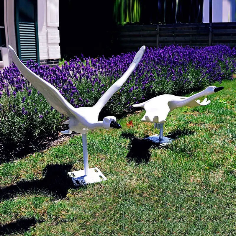 Statua del Cigno Bianco