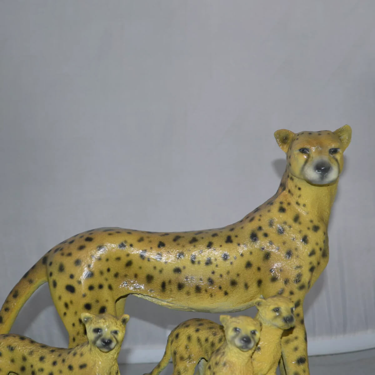 Grand Ornement Guépard