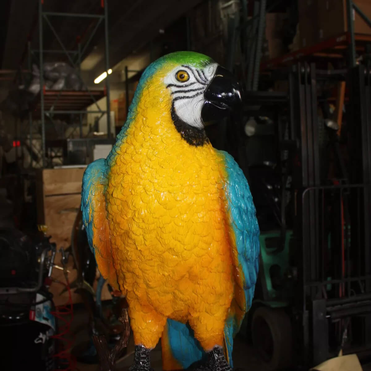 Estatua de Guacamayo