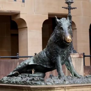 Scultura di Cinghiale Selvatico in Bronzo Firenze di Pietro Tacca, seduta in una posa realistica