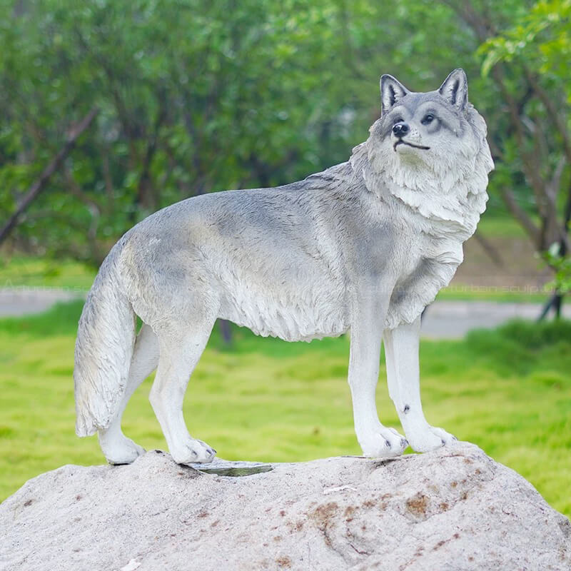 Grey Wolf Statue standing on rock