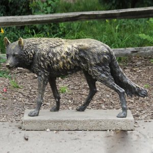 Escultura de lobo em tamanho real em bronze para quintal, com pelagem detalhada, caminhando firmemente