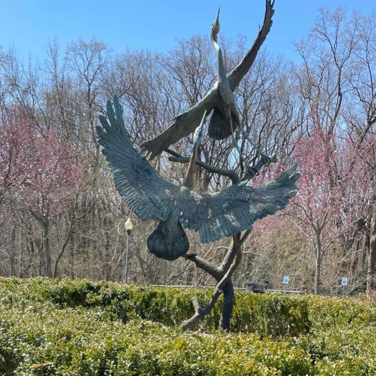 Sculpture en bronze extérieure de deux grands hérons bleus perchés sur une branche d'arbre