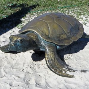 Statue en bronze du Jardin des Tortues de Mer avec motifs texturés sur la carapace et les nageoires