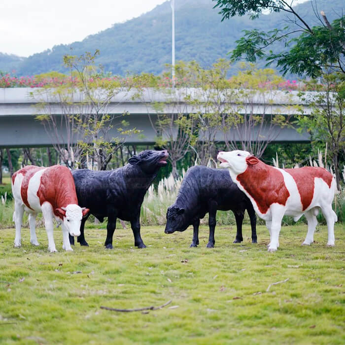 Simmental and Angus cattle Cow Sculptures for Sale in different poses
