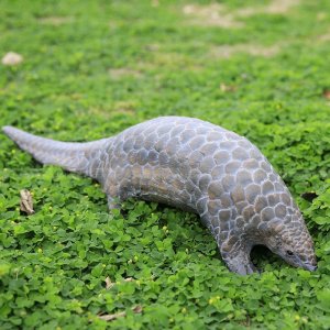 bronze Pangolin Statue with its head lowered as if searching for food