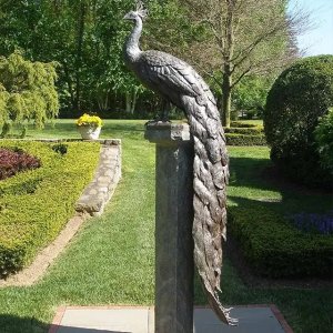 enfeite para quintal em forma de pavão em bronze com pátina de cobre