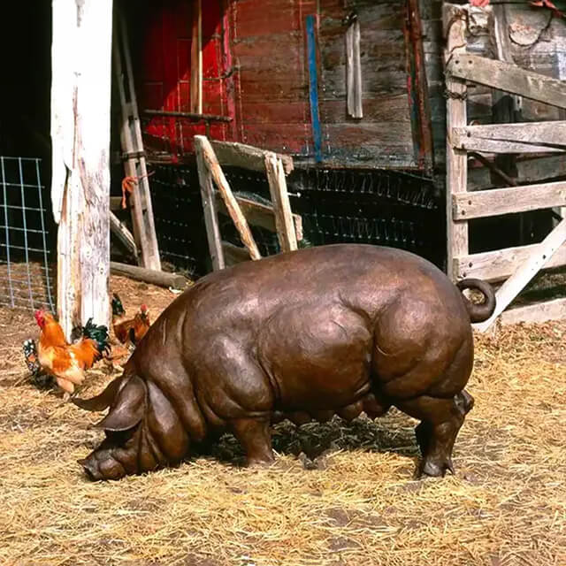 bronze Pig Statue for Garden in a foraging posture with naturally curled tail