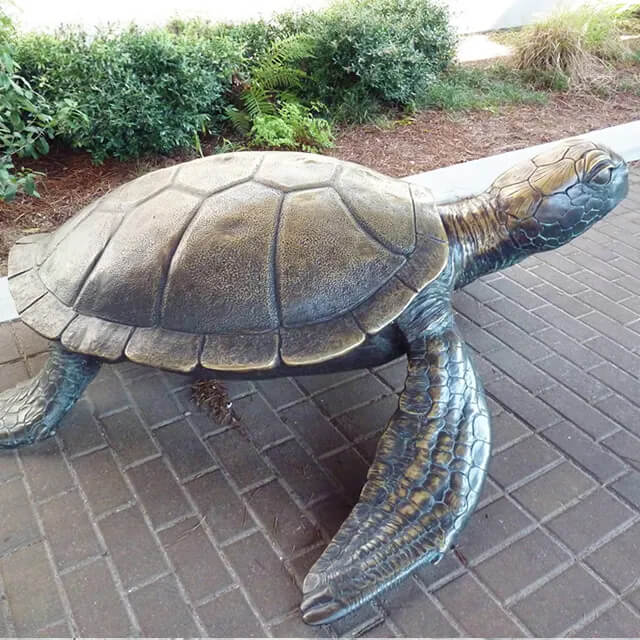 Statua in bronzo Sea Turtle Garden che mostra le pinne texturizzate realistiche e il guscio di tartaruga