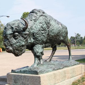 Abstract American Bison bronze Statue garden