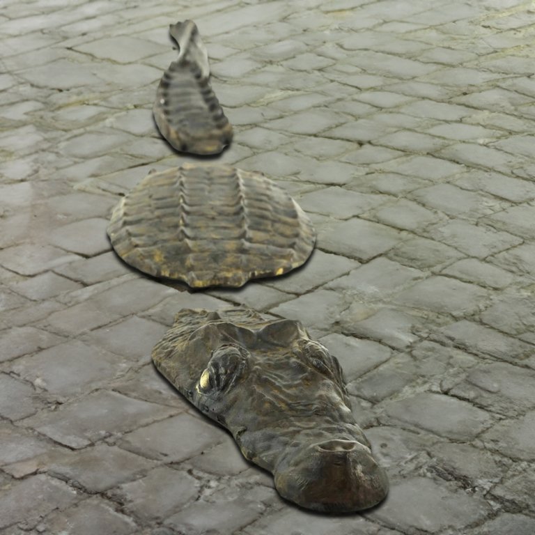 Bronze Crocodile Statue by Rip Caswell, segmented into head, back, and tail parts