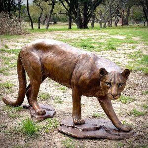 Estátua de Leão da Montanha de Bronze à Venda jardim