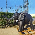 Estatuas de Elefantes para Jardim bronze tromba levantada