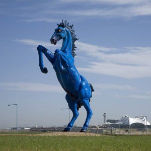 Escultura de Mustang Azul en fibra de vidrio que representa un caballo azul encabritado