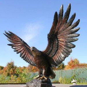 Large Eagle Sculpture in bronze with open wings