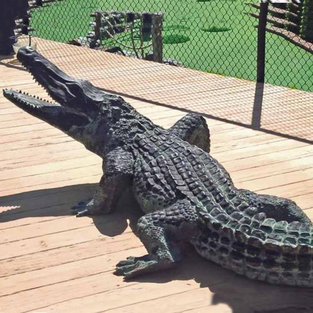 Large bronze Alligator Yard Statue lying on wooden deck