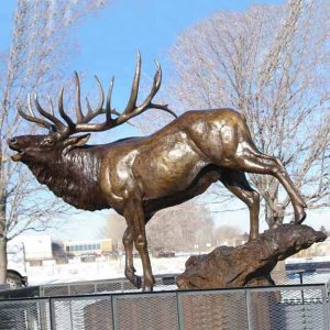 Estatua de Alce de Tamaño Real a la Venta en bronce mostrando un poderoso alce de pie sobre una base de roca