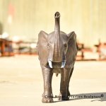 3 Bronze elephant with trunk up statue front angle