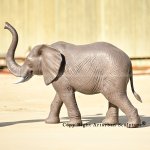 8 Realistic walking African elephant bronze sculpture