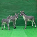 Familiengruppen-Display mit Glasfaser-Outdoor-Eselstatuen