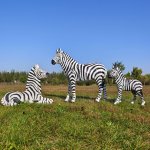 Fiberglass Large Zebra Statue group outdoor display