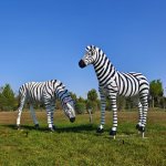 Two fiberglass Large Zebra Statue grazing together