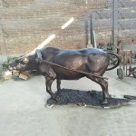 Sculpture de buffle d’eau - Image 1