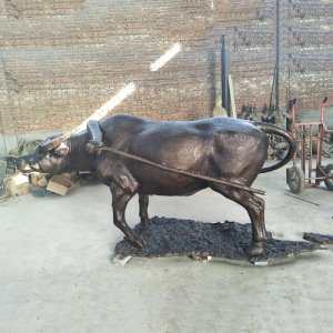 Water Buffalo Sculpture